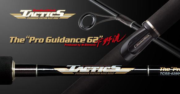 プロガイダンス６２