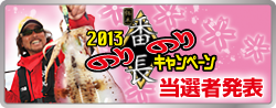 エギ番長2013ノリノリキャンペーン