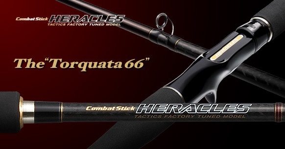 Torque arta 66