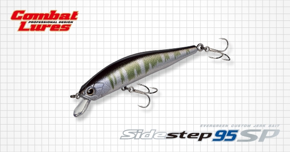 Evergreen エバーグリーン インターナショナル サイドステップ95 Sp