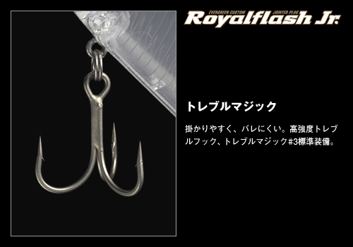 Amazon.co.jp: 超 EVERGREEN エバーグリーン ROYAL FLASH Jr