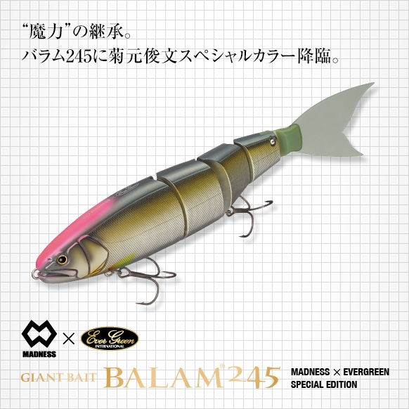 BALAM245