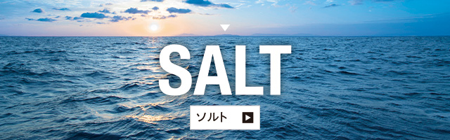 ソルト製品一覧