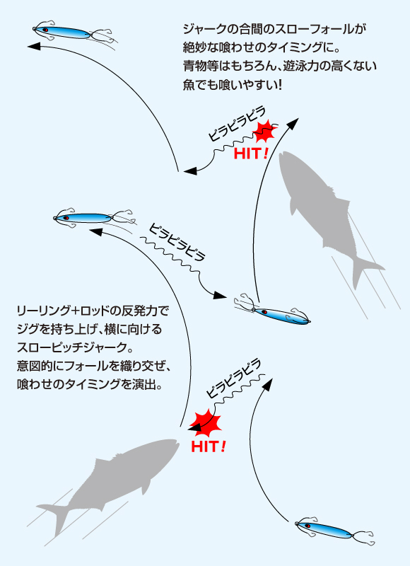 エバーグリーン　カプリス　セット