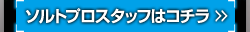 プロスタッフリスト & WEBメディア集 / ソルト