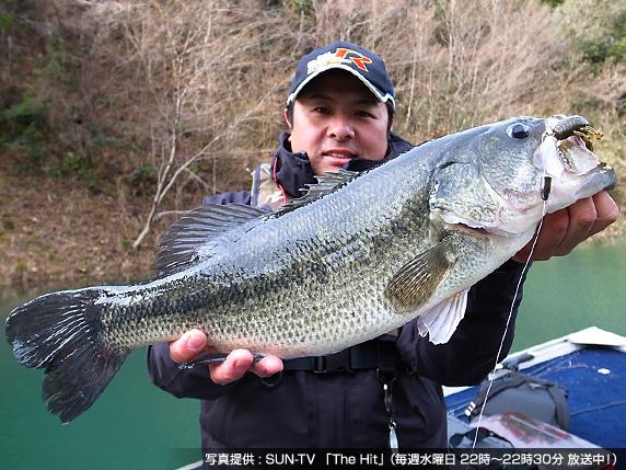 Evergreen エバーグリーン インターナショナル 福島 健 カバー撃ちの極意