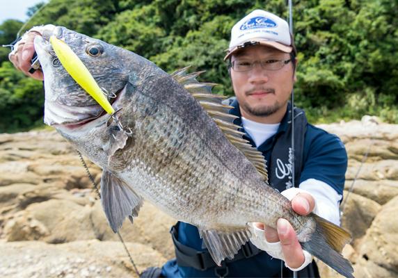 Evergreen エバーグリーン インターナショナル 木下彰 夏の風物詩 チヌトップ アピール力満点のウェイクマジックに良型炸裂
