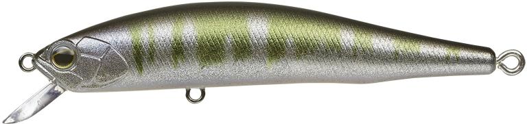 Evergreen エバーグリーン インターナショナル サイドステップ95 Sp