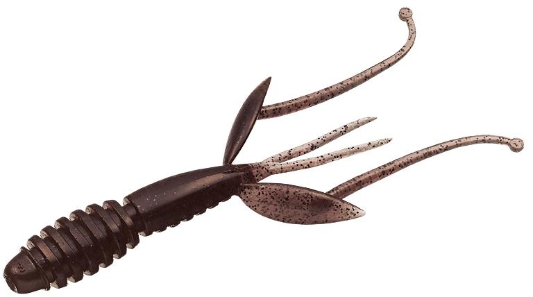 Evergreen エバーグリーン インターナショナル C 4シュリンプ4 2