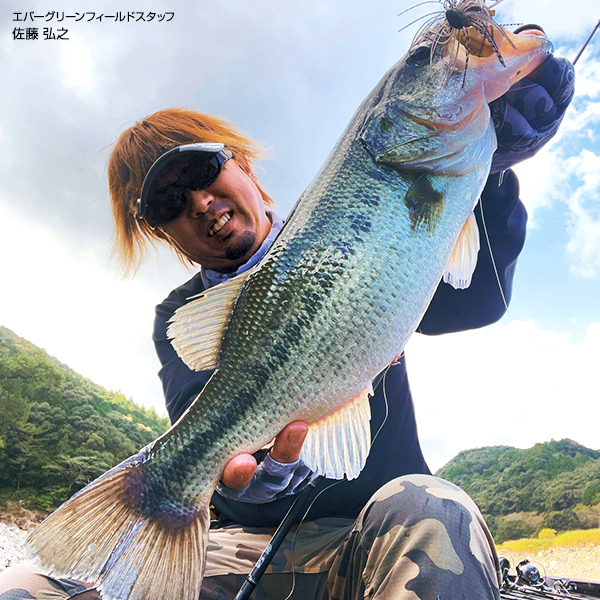 EVERGREEN（エバーグリーン インターナショナル） – TGブロー 1/4oz・3/8oz・1/2oz新色 10月発売予定