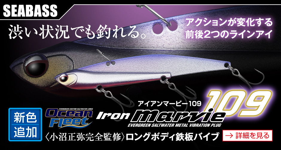 Evergreen エバーグリーン インターナショナル Evergreen エバーグリーン インターナショナル