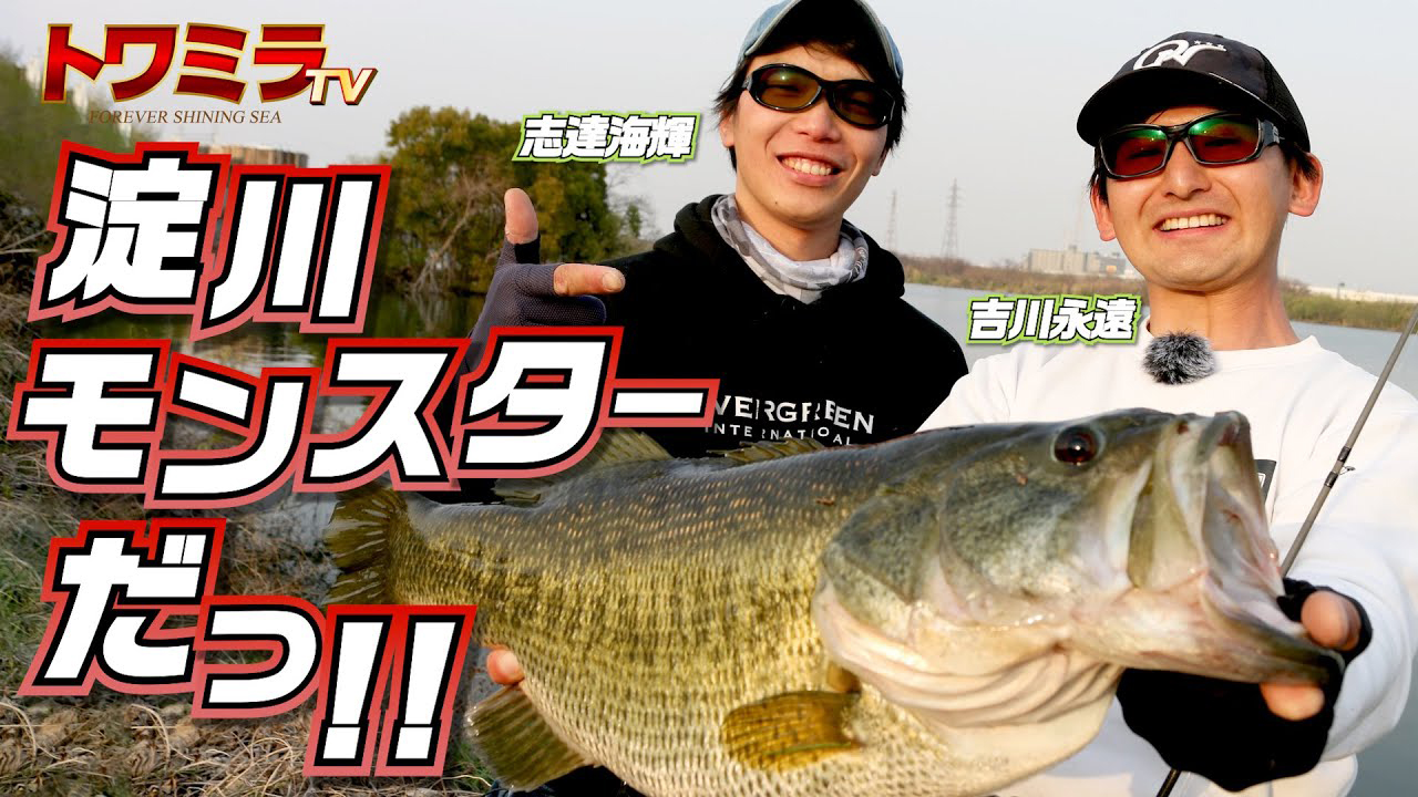 【YouTube】【トワミラTV】#1 淀川オカッパリで驚愕モンスター出現！【新番組START】