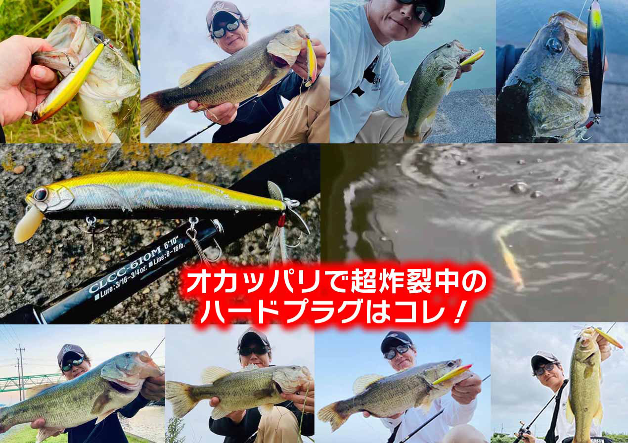 飯田秀明　オカッパリ・バス釣りで超炸裂中のハードプラグはコレ！