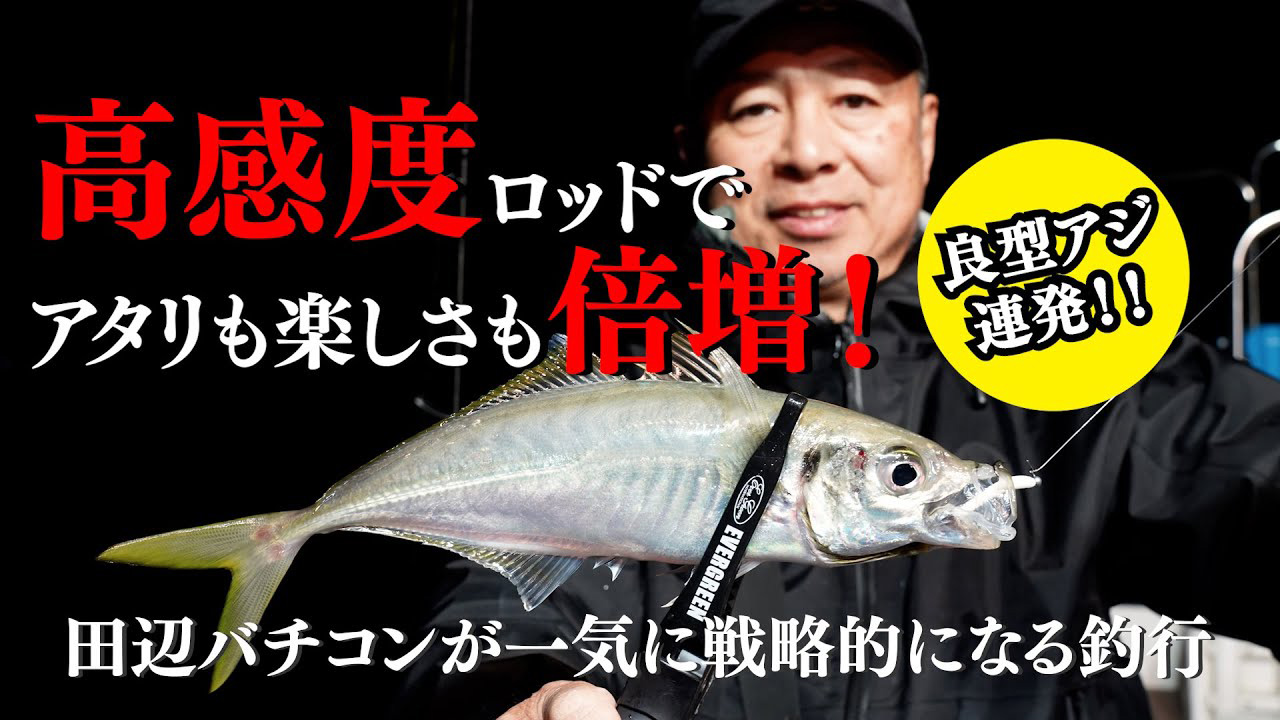 【YouTube】anglingsalt 豊西和典「バチコンアジング　高感度ロッドでアタリも楽しさも倍増！田辺バチコンが一気に戦略的になる釣行♪」