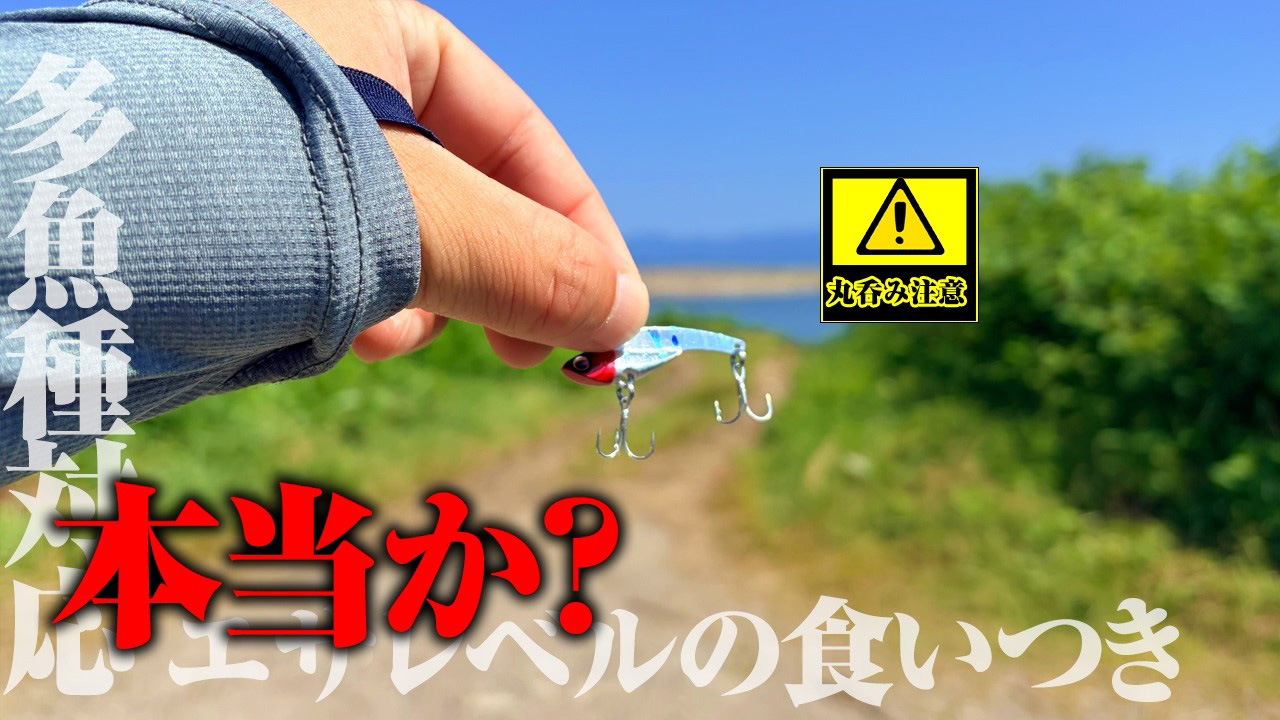 【YouTube】TSURIHACK TV「あの超実績ルアーが小型化。エサ並みの食いつき+多魚種に効くという情報を聞いて、試してみた結果…」