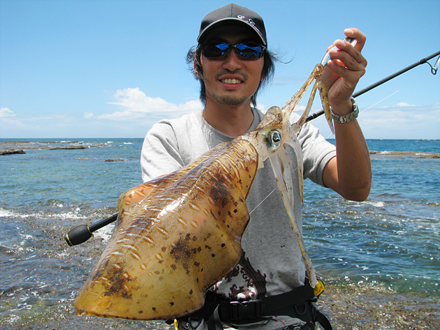 Evergreen エバーグリーン インターナショナル エギ番長でサラシ直撃 実は釣れる夏エギング